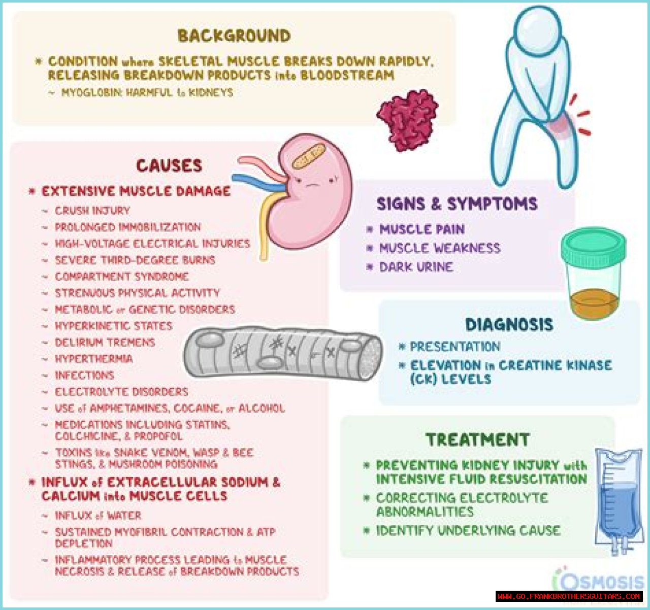Understanding Hasbulla Disease: Causes, Symptoms, And Treatment